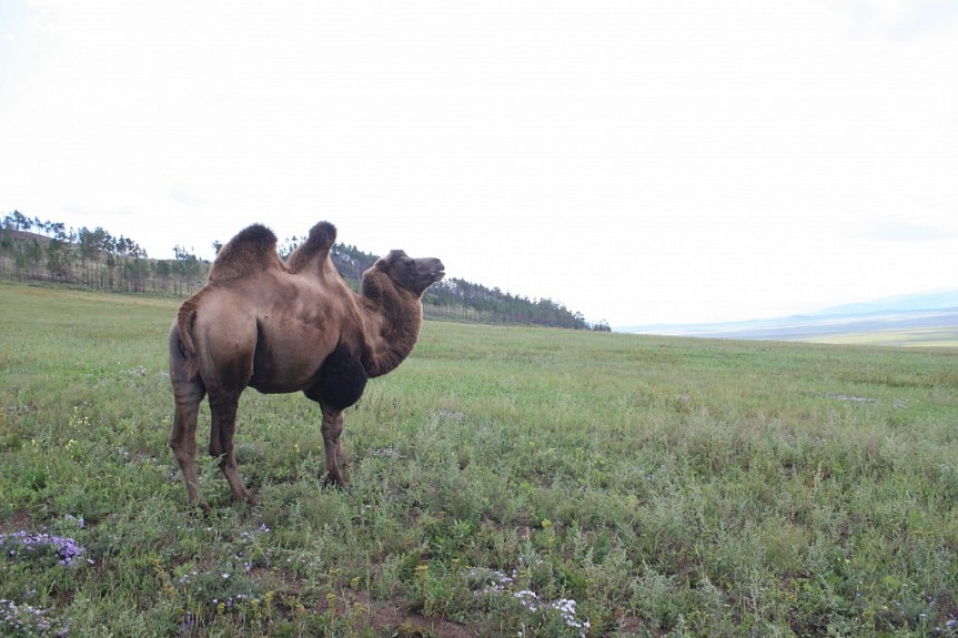 �������