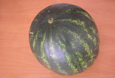 ������� �����