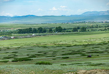 �������� - ����, ����� � �����������. Mongolia.