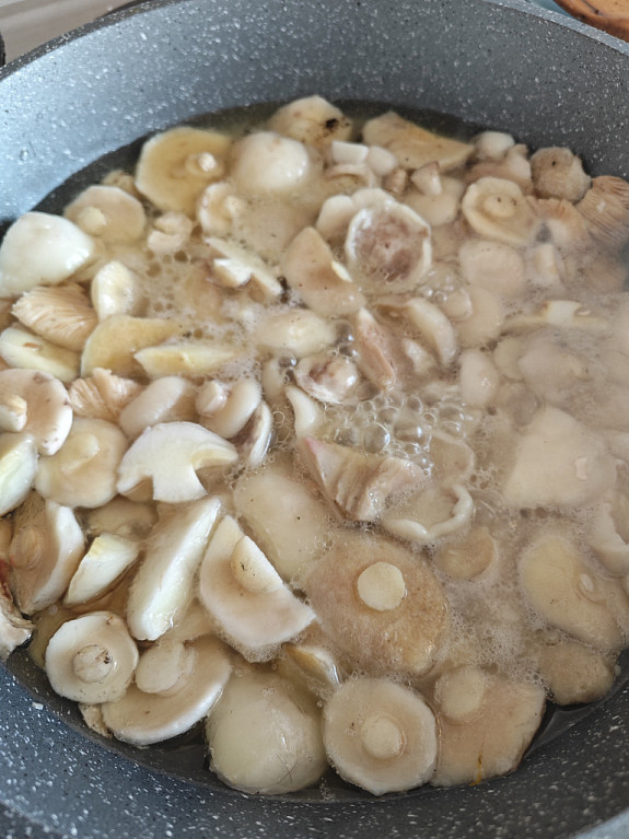 ��������. ����� � ����������. 