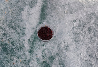 ��������� � ������. ������ �������