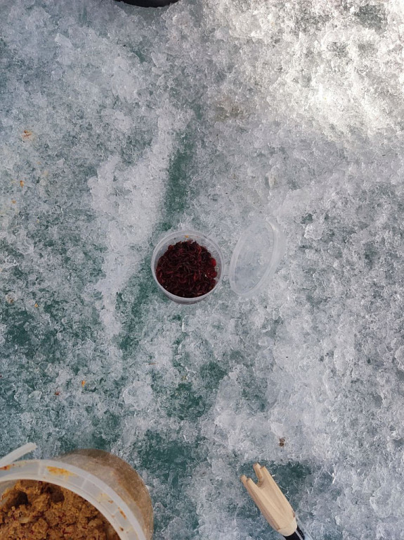 ��������� � ������. ������ �������