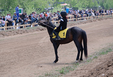 �������-����� �� ���� ��� �1. ������ ������ � ����-���. ��������������� �������� �� ������� ���������