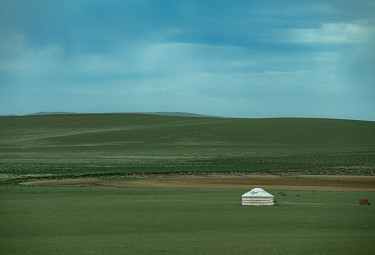 ��������. ����� ���� � �����. A yurt in the Mongolian steppe