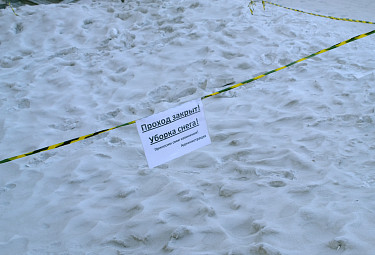 ������ ����� � ���� ������