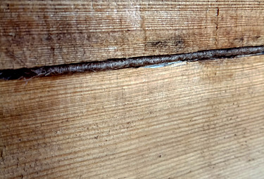 ��������� ���� ���� ����������