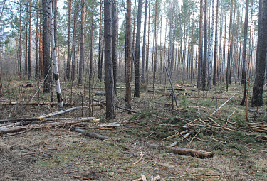 ��������� ���