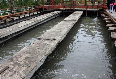 ��� - ��������� �������� ����������