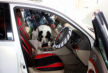 �����. ������� �� ������� ������