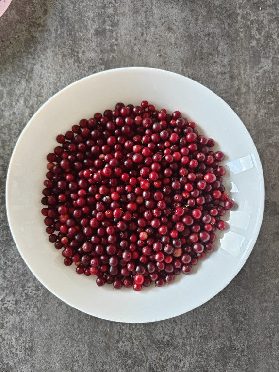�������� � �������. Lingonberry