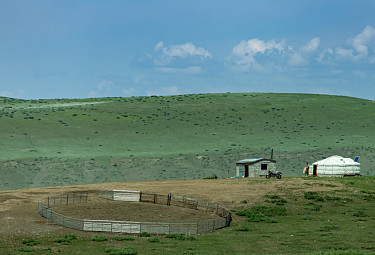 ���� � ����� � ��������. Mongolia.