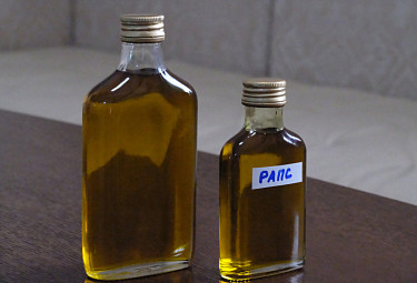 Рапсовое масло, полученное в качестве эксперимента в Бурятии (2021 год)