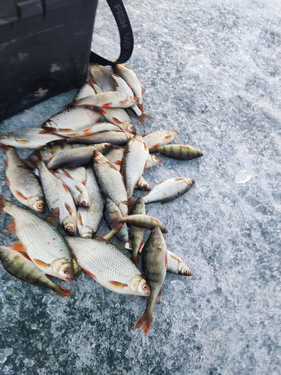 ������ �������. ����������� ����. Ice fishing