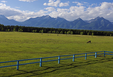 .  .       . Pasture
