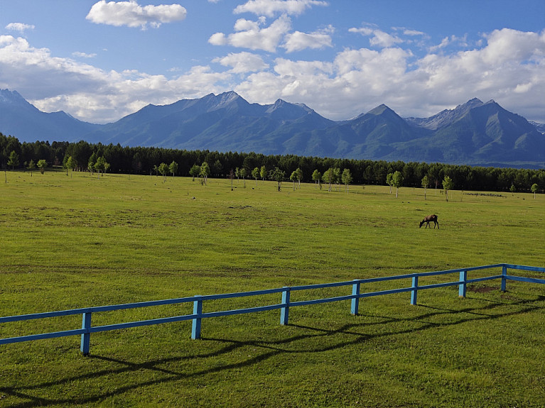 .  .       . Pasture