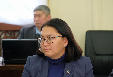 ���� ���������. �������