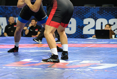 ���������� ������. ���������� �������. ����-���. ����� �� ������� �� ������� ������. Freestyle wrestling