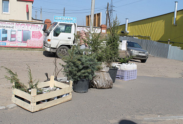 �������