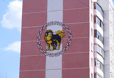 Символ Года Собаки на стене многоэтажки в городе Улан-Удэ