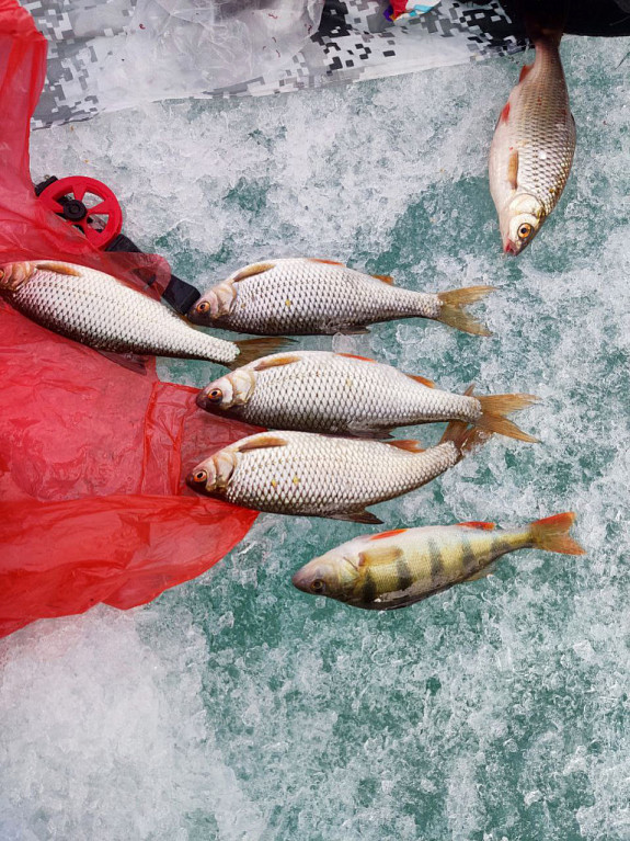 ��������� �������. ����������� ���� ����� �� ����