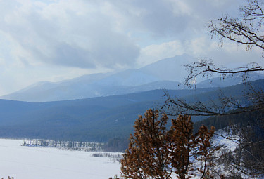 ������ ������