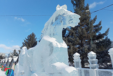 ���������� ������ ��� ���� � ����� ��������� ���� ������. ������� 2025 ����. ������� ������� � ����-���. Ice horse. Ulan-Ude