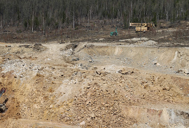 ������ ���������