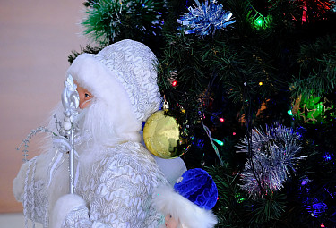 Дед Мороз и Снегурочка под новогодней елкой