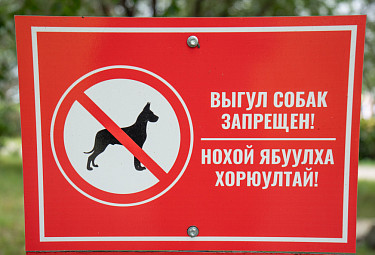 �������. ����� ����� ��������. ���������� �� ������� � ��������� ������. Walking dogs is prohibited