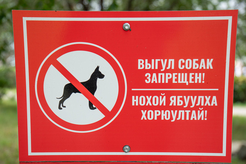 �������. ����� ����� ��������. ���������� �� ������� � ��������� ������. Walking dogs is prohibited