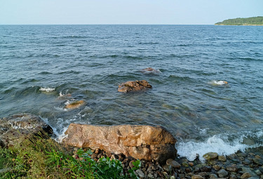 Бурятия. Южная часть Байкала. Волны накатывают на берег Байкала, где растет ягода