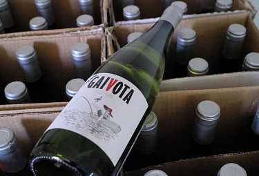  "" ("Gaivota")      