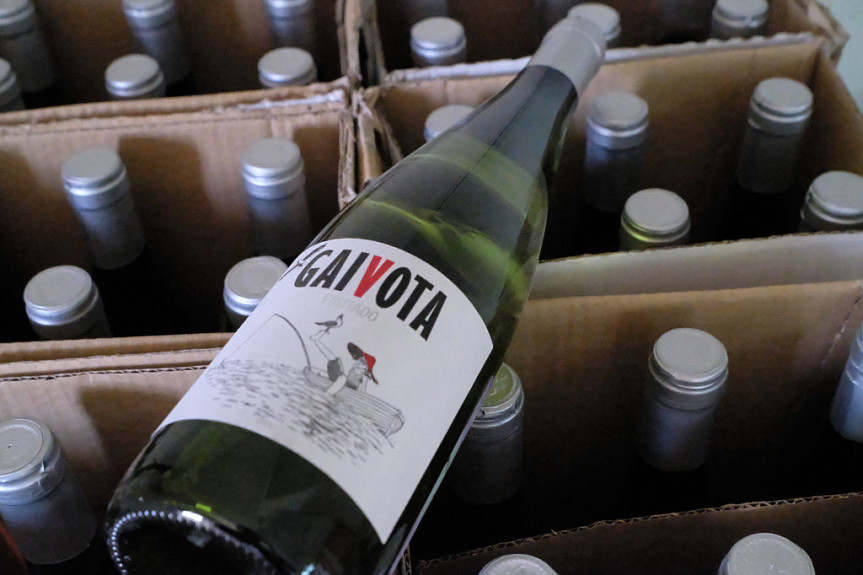 ���� "�������" ("Gaivota") ����� �� ��������� �������� � �����
