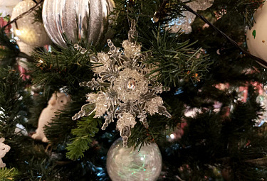 ���������� ���� � ����������� �����������