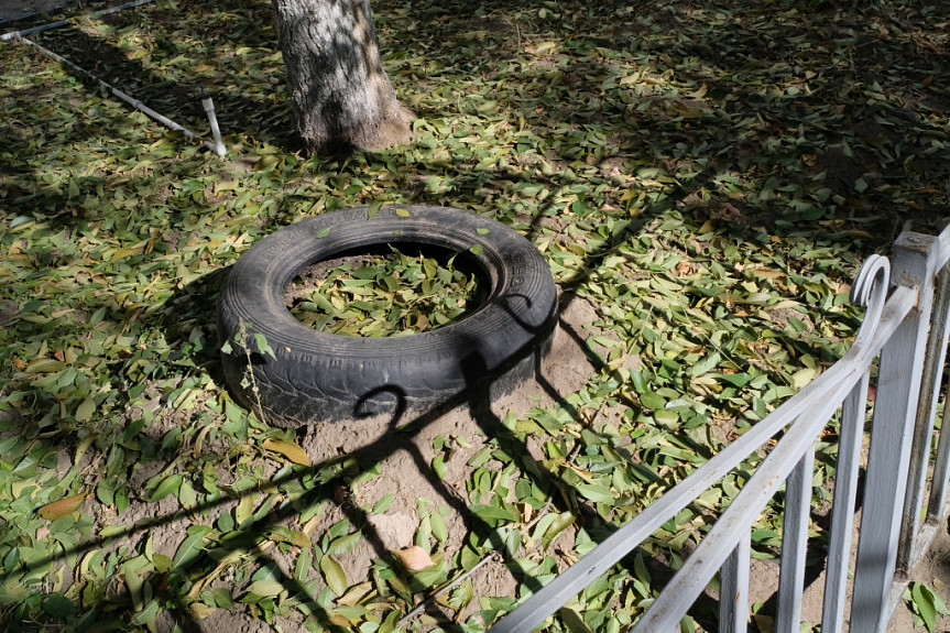 Старая шина Yokohama на газоне у дерева