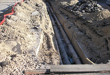 ������ �����������