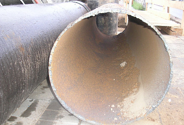 ����� �������� �������