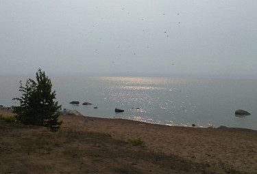 ���� ��� �����